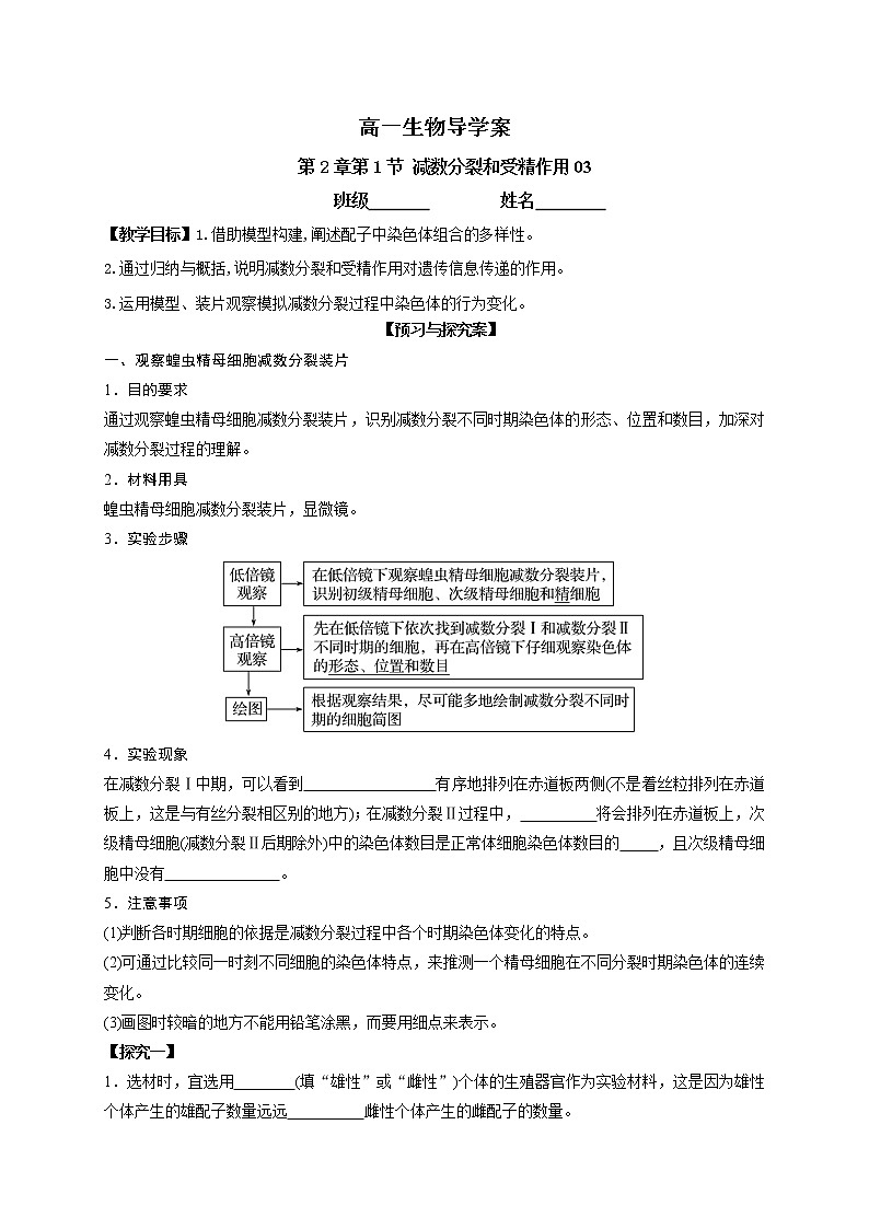 2.1 减数分裂与受精作用03 导学案【新教材】2020-2021学年高一生物人教版(2019)必修二第1页