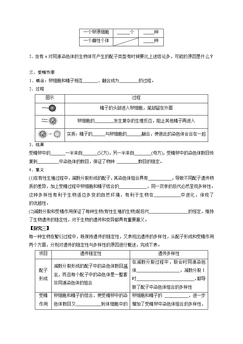 2.1 减数分裂与受精作用03 导学案【新教材】2020-2021学年高一生物人教版(2019)必修二第3页
