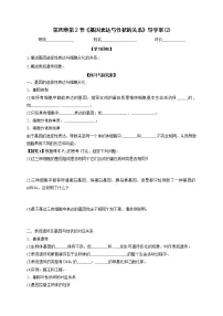 高中生物人教版 (2019)必修2《遗传与进化》第4章 基因的表达第2节 基因表达与性状的关系学案设计