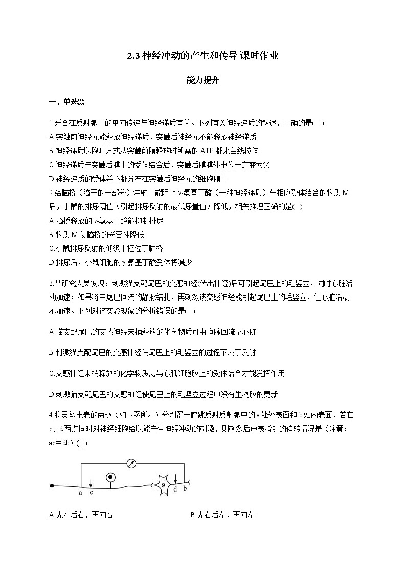 2.3 神经冲动的产生和传导(能力提升) 同步练习【新教材】人教版(2019)高中生物选择性必修一01