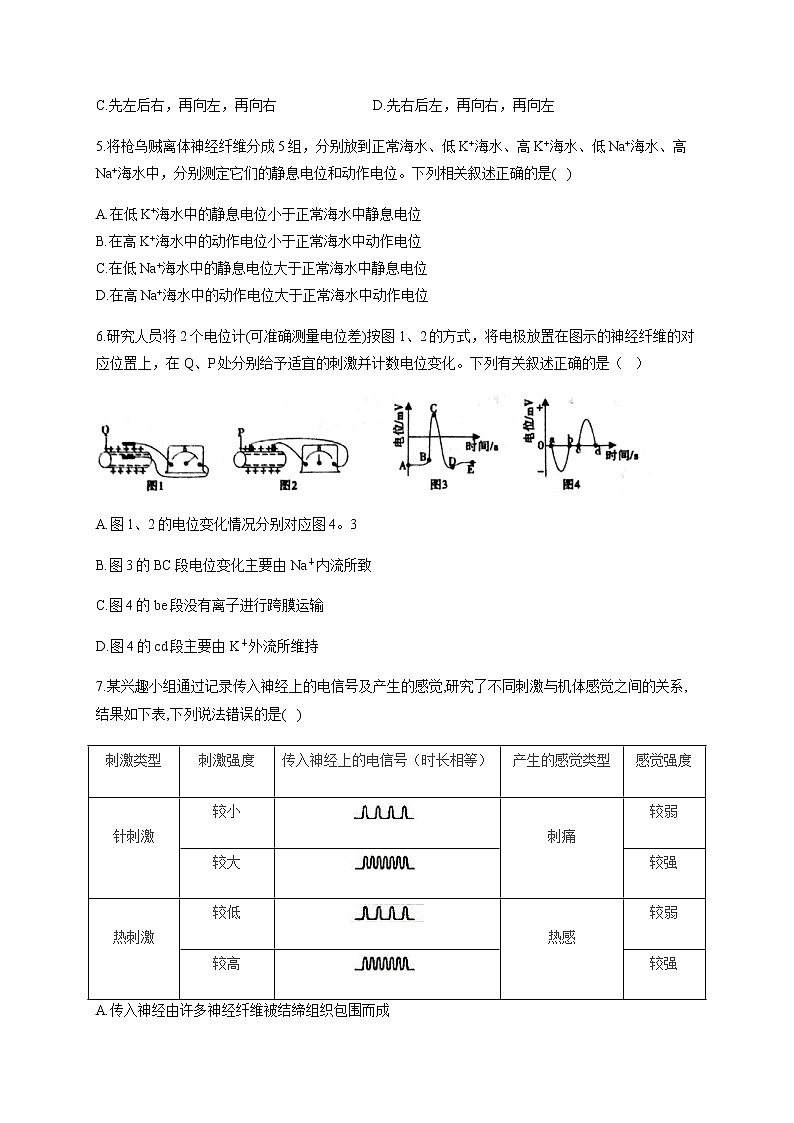 2.3 神经冲动的产生和传导(能力提升) 同步练习【新教材】人教版(2019)高中生物选择性必修一02
