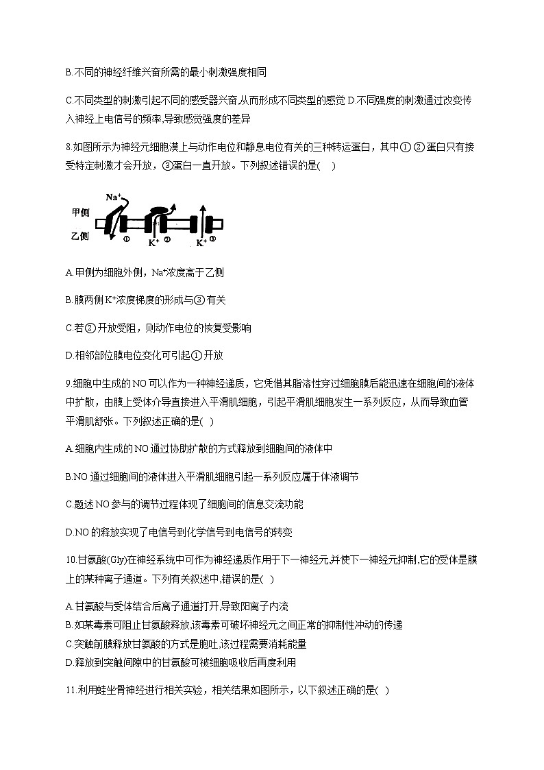 2.3 神经冲动的产生和传导(能力提升) 同步练习【新教材】人教版(2019)高中生物选择性必修一03