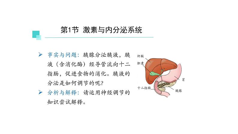 3.1激素与内分泌系统 第1课时 课件【新教材】人教版(2019)高中生物选择性必修一第2页