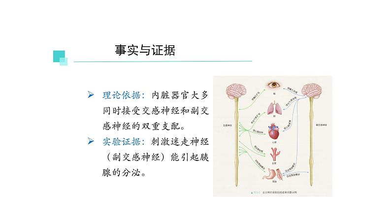 3.1激素与内分泌系统 第1课时 课件【新教材】人教版(2019)高中生物选择性必修一第3页