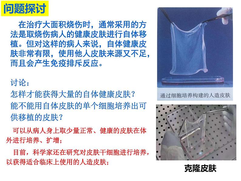 2.2.1 动物细胞培养 课件【新教材】 2020-2021学年人教版(2019)高二生物选择性必修三第3页