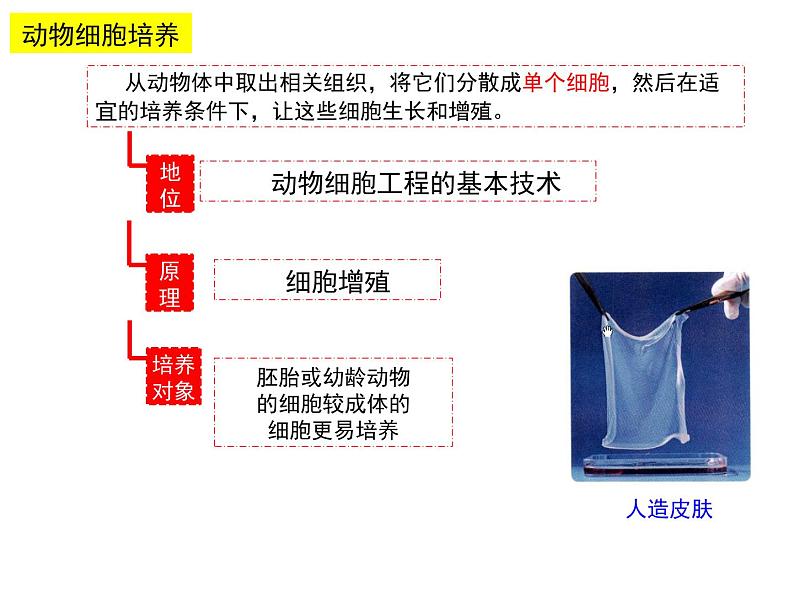2.2.1 动物细胞培养 课件【新教材】 2020-2021学年人教版(2019)高二生物选择性必修三第6页