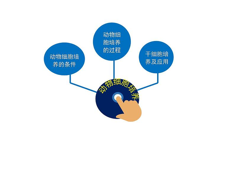 2.2.1 动物细胞培养 课件【新教材】 2020-2021学年人教版(2019)高二生物选择性必修三第7页