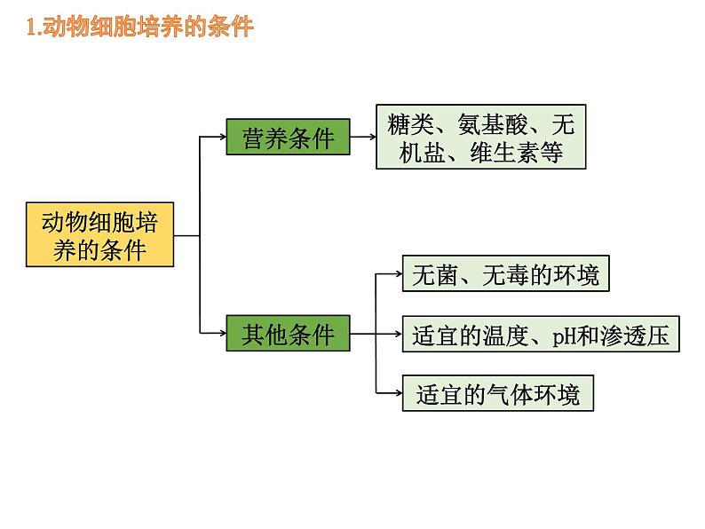 2.2.1 动物细胞培养 课件【新教材】 2020-2021学年人教版(2019)高二生物选择性必修三第8页