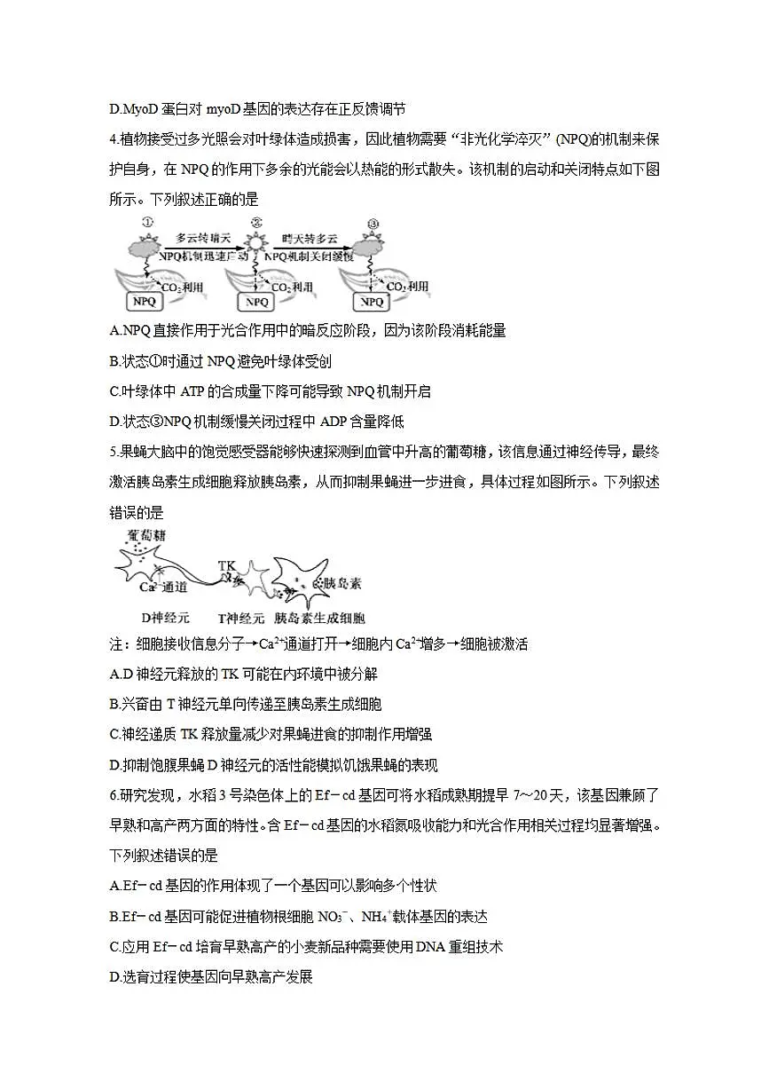 山东省济宁市2021届高三下学期5月第二次模拟考试生物试题含答案第2页