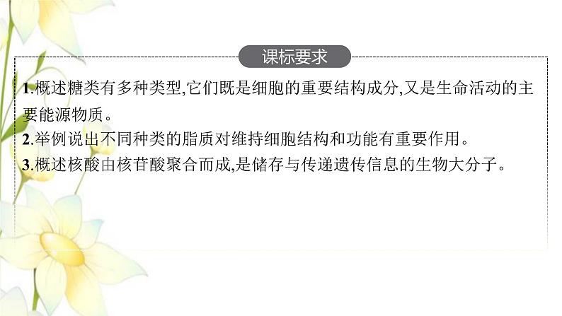 新教材高考生物一轮复习第一单元走近细胞组成细胞的分子第4讲细胞中的糖类和脂质核酸是遗传信息的携带者课件新人教版第2页