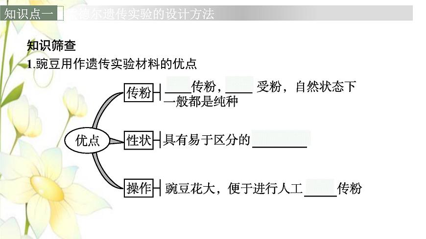 新教材高考生物一輪復(fù)習(xí)第五單元遺傳因子的發(fā)現(xiàn)和伴性遺傳第1講孟德爾的豌豆雜交實(shí)驗(yàn)一課件新人教版第6頁