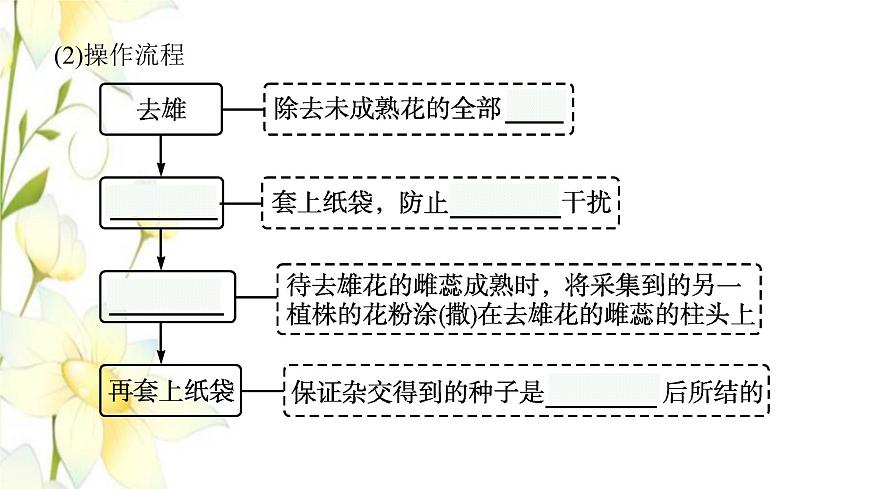 新教材高考生物一輪復(fù)習(xí)第五單元遺傳因子的發(fā)現(xiàn)和伴性遺傳第1講孟德爾的豌豆雜交實(shí)驗(yàn)一課件新人教版第8頁
