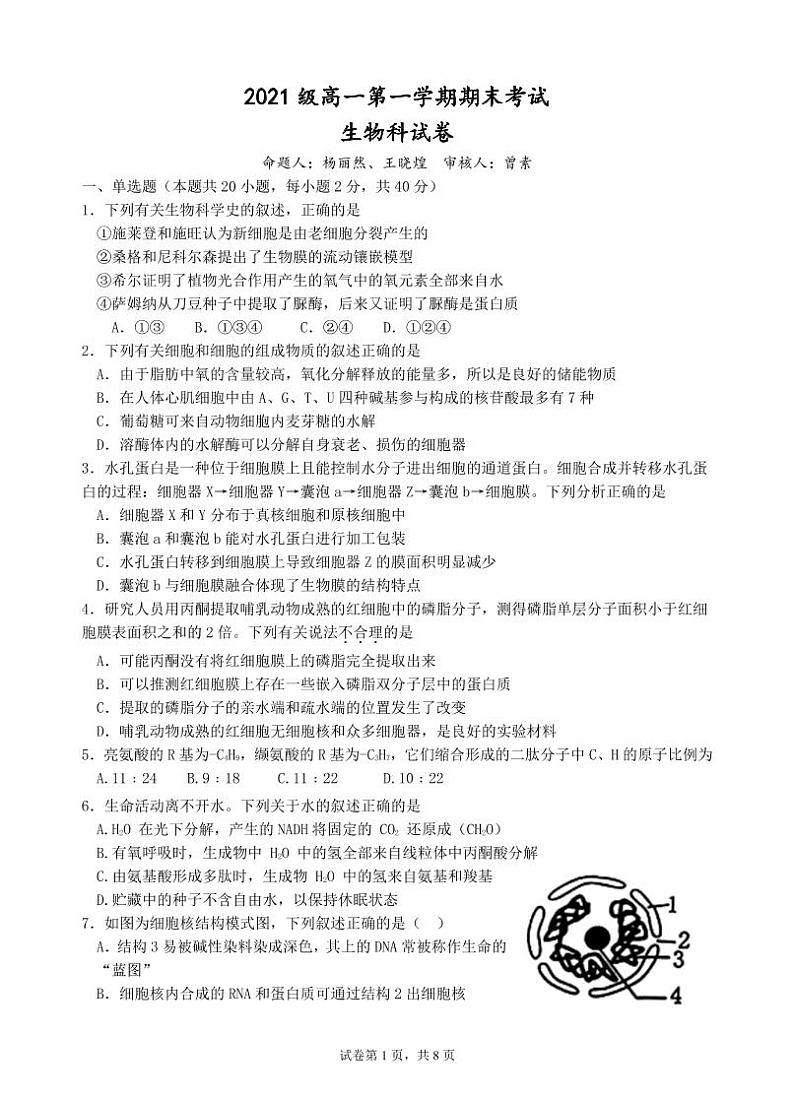 广东省汕头市金山中学2021-2022学年高一上学期期末考试生物含答案01