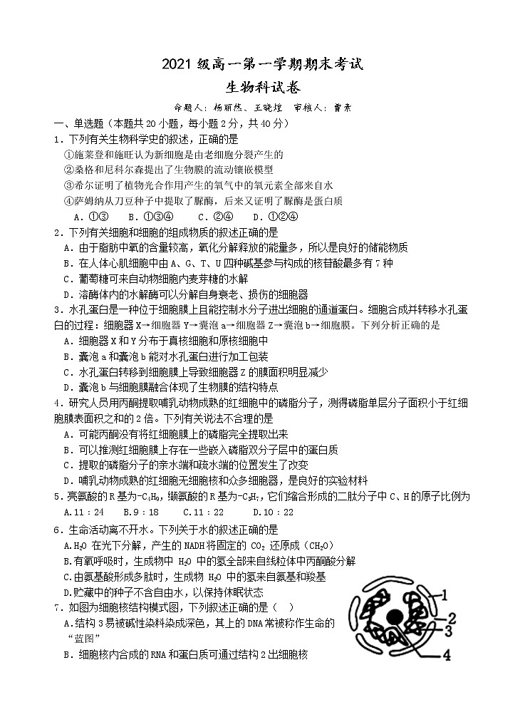 广东省汕头市金山中学2021-2022学年高一上学期期末考试生物含答案01