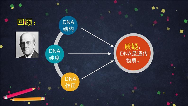 高一生物学(人教版2019)必修二 DNA是主要的遗传物质(2)课件+教案+导学案+学习任务单+同步练习含答案02