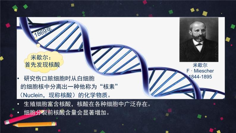 高一生物学(人教版2019)必修二 DNA的结构 课件+教案+导学案+学习任务单+同步练习含答案03