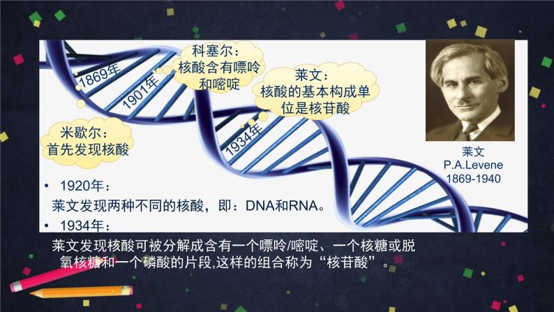 高一生物学(人教版2019)必修二 DNA的结构 课件+教案+导学案+学习任务单+同步练习含答案05