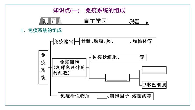 2021-2022学年高中生物新人教版选择性必修1 免疫系统的组成和功能 课件(34张)(鲁辽湘版)第3页
