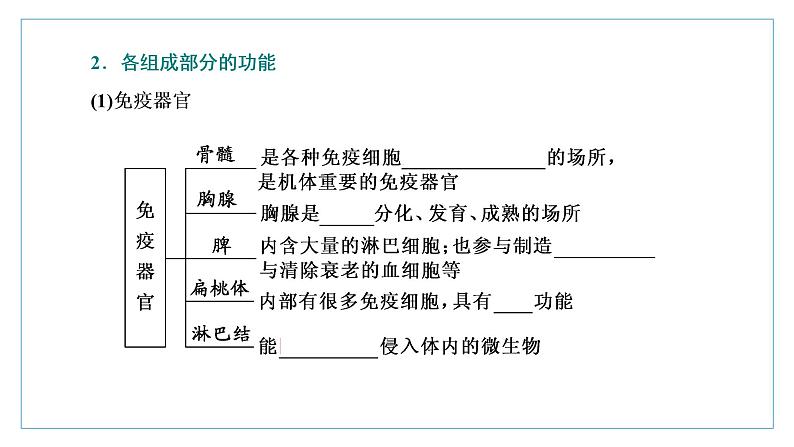 2021-2022学年高中生物新人教版选择性必修1 免疫系统的组成和功能 课件(34张)(鲁辽湘版)第4页