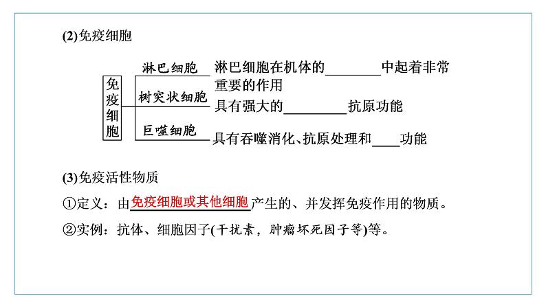 2021-2022学年高中生物新人教版选择性必修1 免疫系统的组成和功能 课件(34张)(鲁辽湘版)第5页