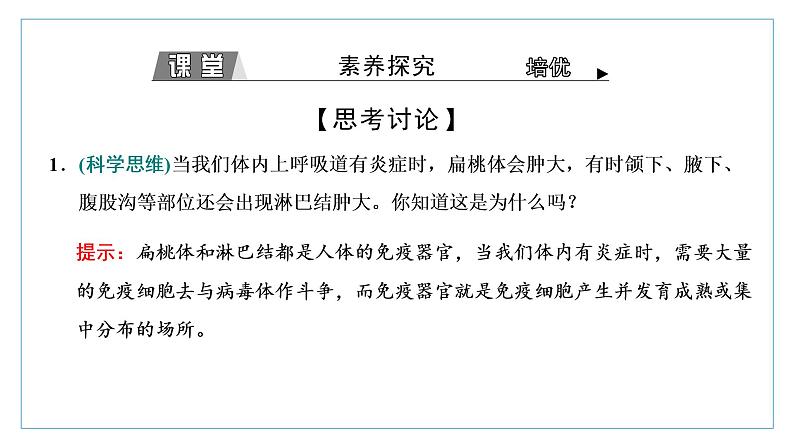 2021-2022学年高中生物新人教版选择性必修1 免疫系统的组成和功能 课件(34张)(鲁辽湘版)第8页