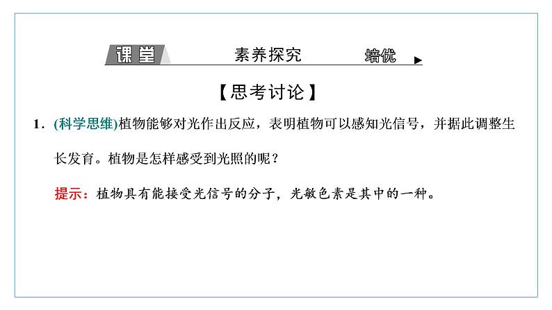 2021-2022学年高中生物新人教版选择性必修1 环境因素参与调节植物的生命活动 课件(28张)(鲁辽湘版)第5页