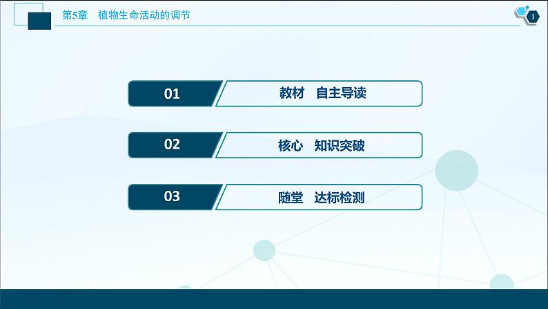 2021-2022学年高中生物新人教版选择性必修1 环境因素参与调节植物的生命活动(37张)课件第2页