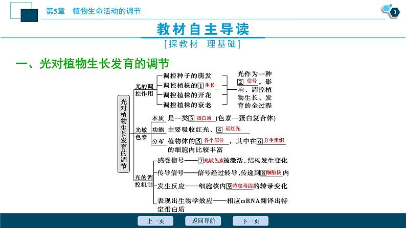 2021-2022学年高中生物新人教版选择性必修1 环境因素参与调节植物的生命活动(37张)课件第4页