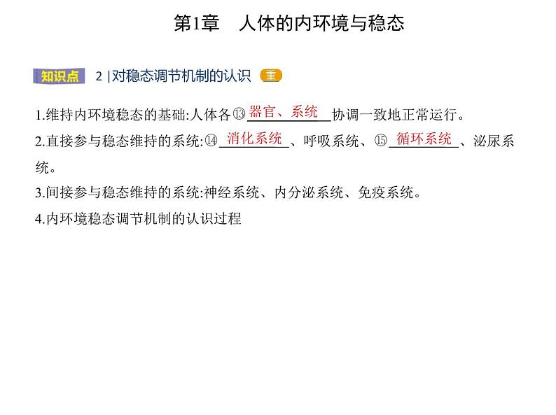 2021-2022学年高中生物新人教版选择性必修1 内环境的稳态(21张) 课件第7页