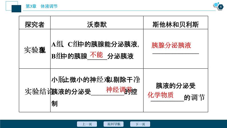 2021-2022学年高中生物新人教版选择性必修1 激素与内分泌系统(46张)课件第6页