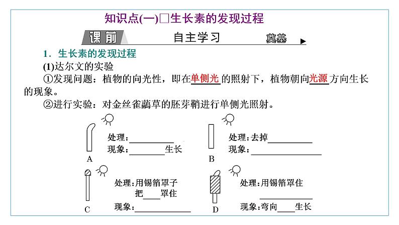 2021-2022学年高中生物新人教版选择性必修1 植物生长素 课件(62张)(鲁辽湘版)第3页