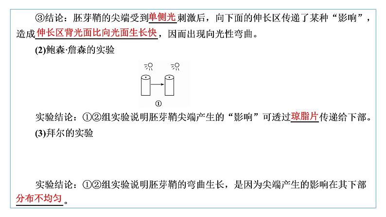 2021-2022学年高中生物新人教版选择性必修1 植物生长素 课件(62张)(鲁辽湘版)第4页