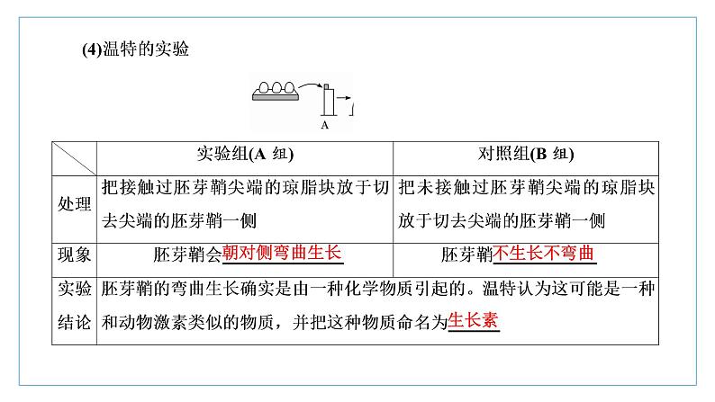2021-2022学年高中生物新人教版选择性必修1 植物生长素 课件(62张)(鲁辽湘版)第5页