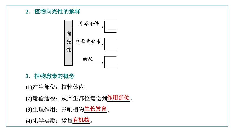 2021-2022学年高中生物新人教版选择性必修1 植物生长素 课件(62张)(鲁辽湘版)第6页