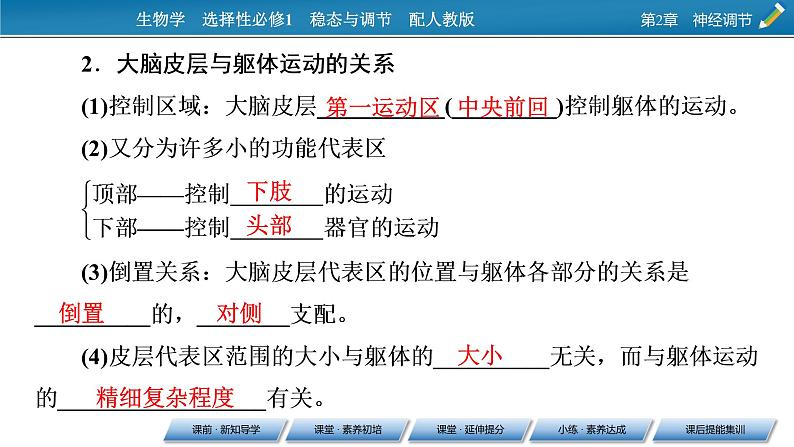 2021-2022学年高中生物新人教版选择性必修1 第2章 第4节 神经系统的分级调节 课件(53张)05