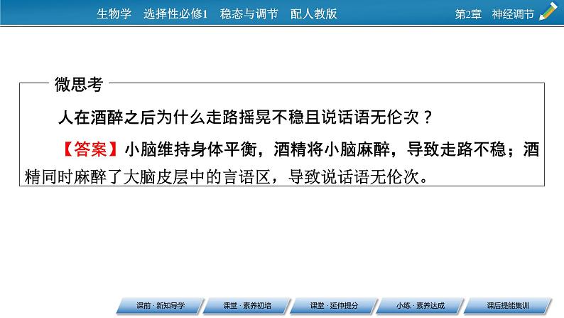 2021-2022学年高中生物新人教版选择性必修1 第2章 第4节 神经系统的分级调节 课件(53张)07