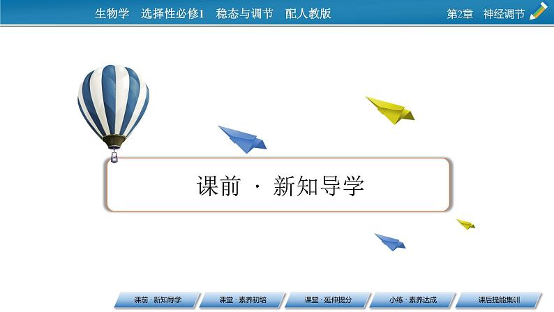 2021-2022学年高中生物新人教版选择性必修1 第2章 第1节 神经调节的结构基础 课件(69张)08