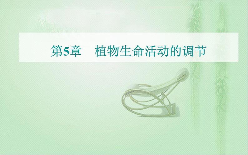 2021-2022学年高中生物新人教版选择性必修1 第5章 第1节 植物生长素 课件(47张)第1页
