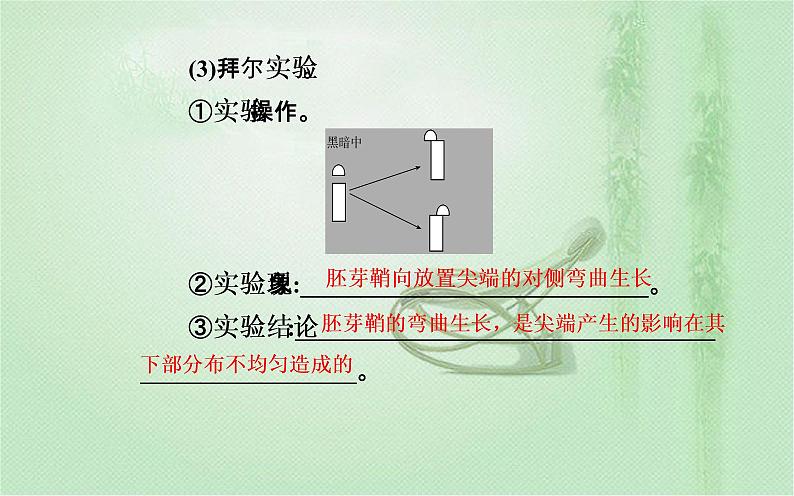 2021-2022学年高中生物新人教版选择性必修1 第5章 第1节 植物生长素 课件(47张)第6页