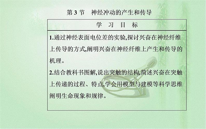 2021-2022学年高中生物新人教版选择性必修1 第2章 第3节 神经冲动的产生和传导 课件(43张)第2页