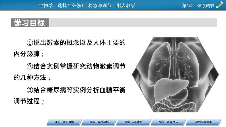 2021-2022学年高中生物新人教版选择性必修1 第3章 第1节 激素与内分泌系统 课件(87张)第2页