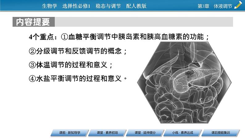 2021-2022学年高中生物新人教版选择性必修1 第3章 第1节 激素与内分泌系统 课件(87张)第4页