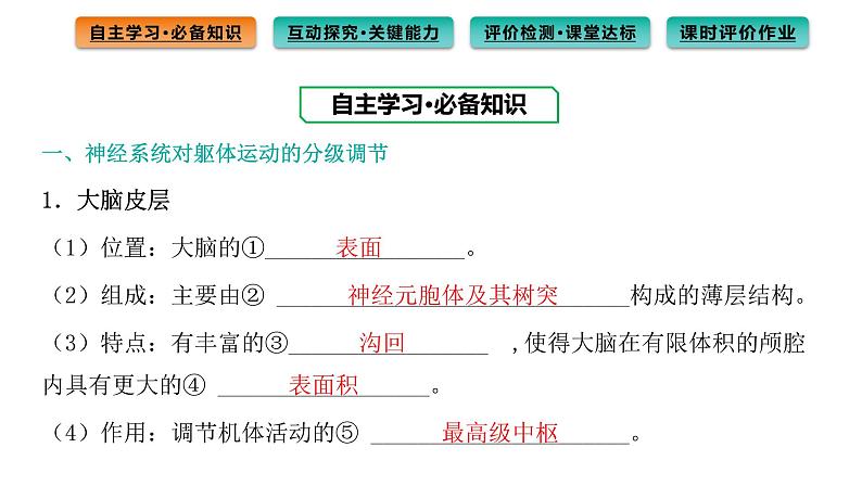 2021-2022学年高中生物新人教版选择性必修1 第2章 第4节 神经系统的分级调节 课件(78张)第3页
