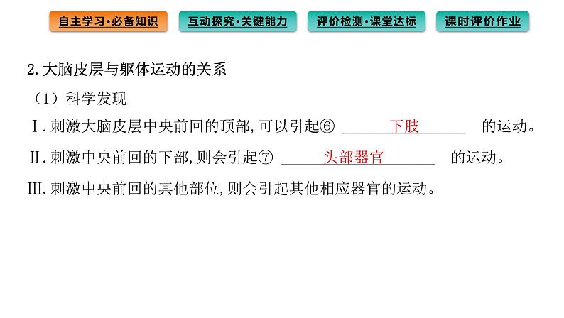 2021-2022学年高中生物新人教版选择性必修1 第2章 第4节 神经系统的分级调节 课件(78张)第4页