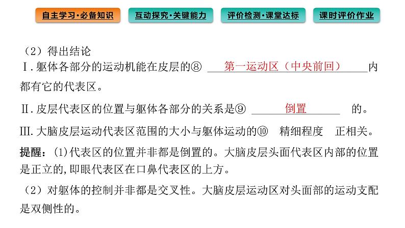 2021-2022学年高中生物新人教版选择性必修1 第2章 第4节 神经系统的分级调节 课件(78张)第5页