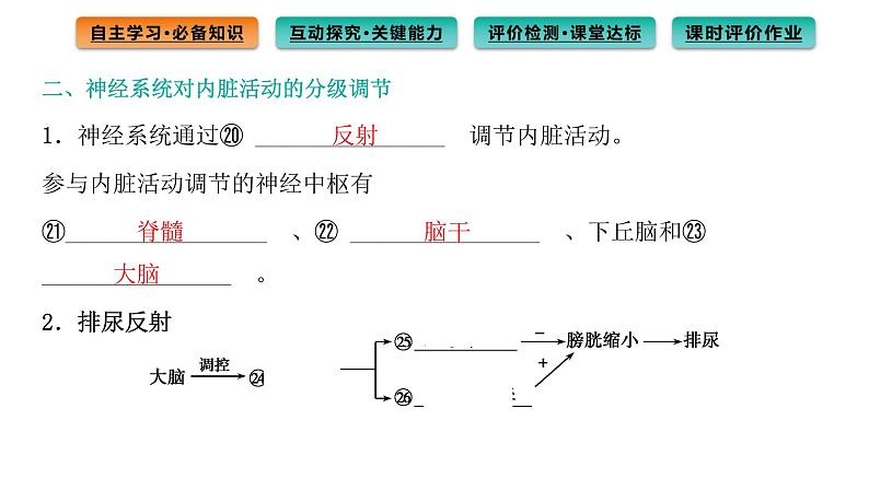 2021-2022学年高中生物新人教版选择性必修1 第2章 第4节 神经系统的分级调节 课件(78张)第8页