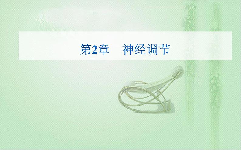 2021-2022学年高中生物新人教版选择性必修1 第2章 第1节 神经调节的结构基础 课件(22张)01
