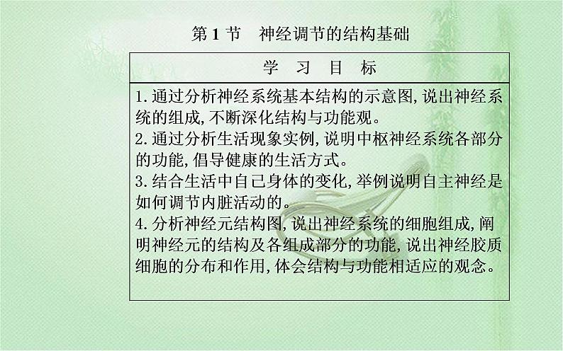 2021-2022学年高中生物新人教版选择性必修1 第2章 第1节 神经调节的结构基础 课件(22张)02