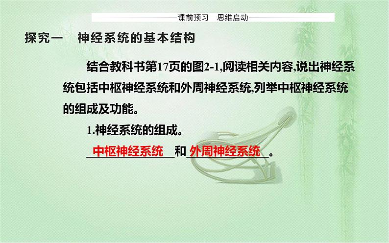 2021-2022学年高中生物新人教版选择性必修1 第2章 第1节 神经调节的结构基础 课件(22张)03