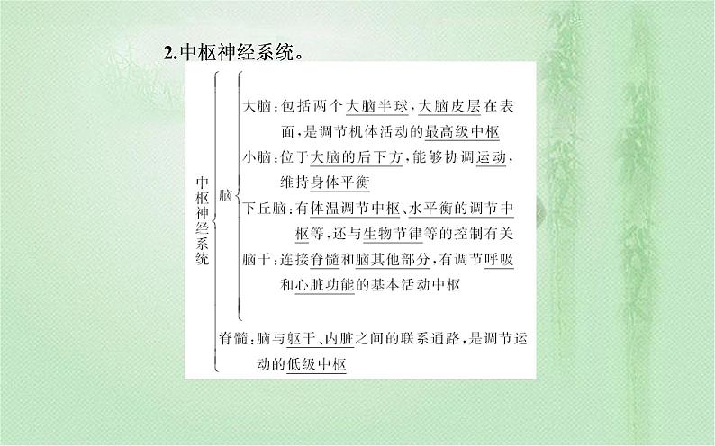 2021-2022学年高中生物新人教版选择性必修1 第2章 第1节 神经调节的结构基础 课件(22张)04